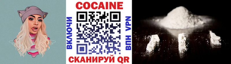 купить закладку  МЕГА ссылки  Кокаин Fish Scale  Железноводск 