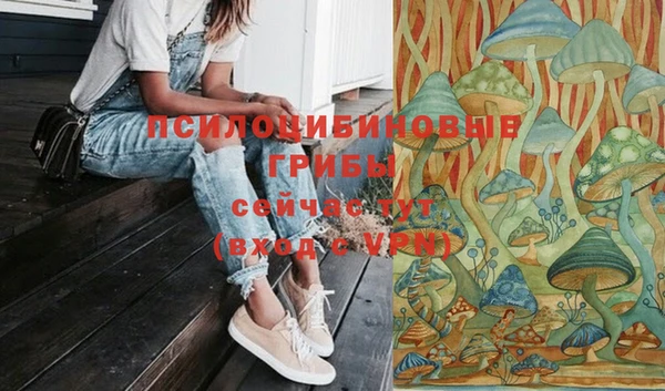 мдпв Беломорск
